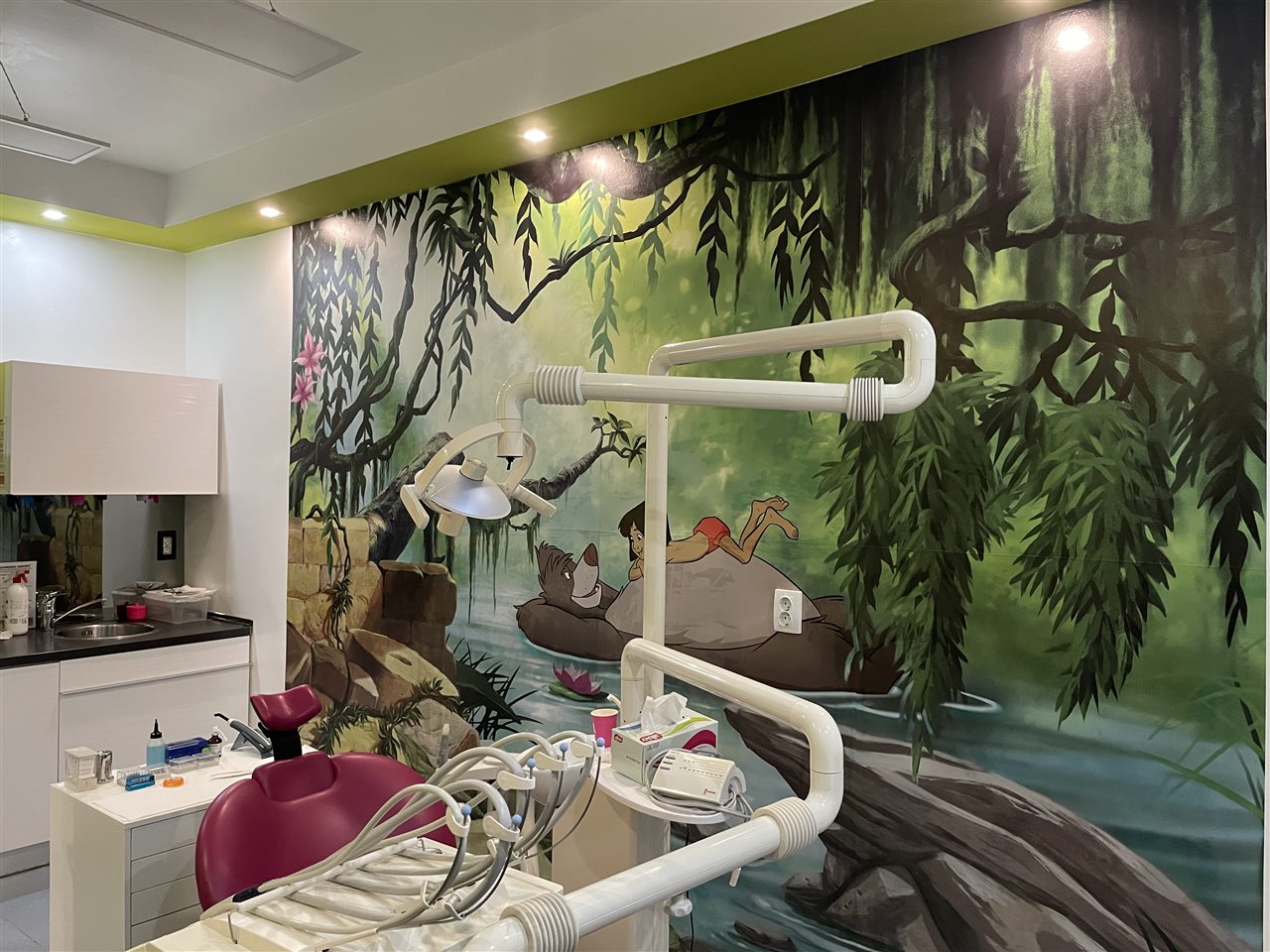 Cabinetul Artist Dent for Kids, cu scaun roz și decor din junglă
